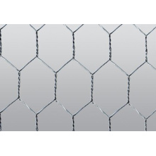 Mesh hexagonal (qualité supérieure à bas prix)